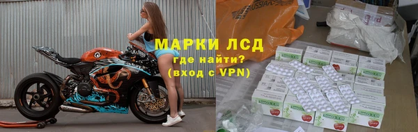 индика Краснотурьинск