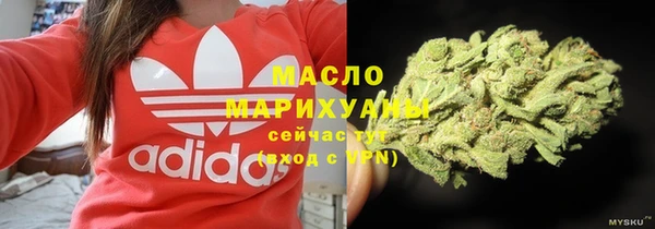 индика Краснотурьинск