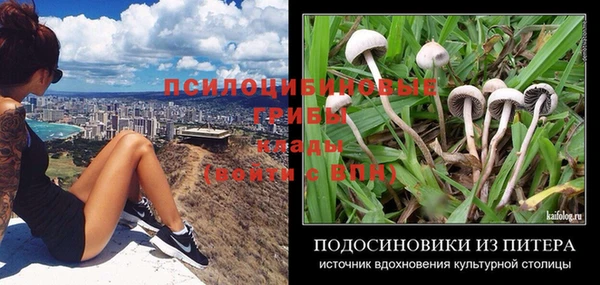 индика Краснотурьинск