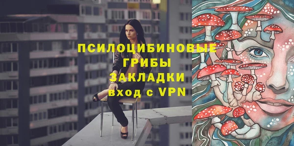 первитин Краснослободск