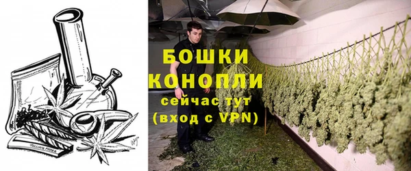 первитин Краснослободск