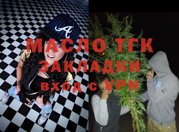 индика Краснотурьинск