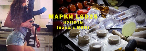 индика Краснотурьинск