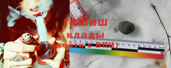 индика Краснотурьинск