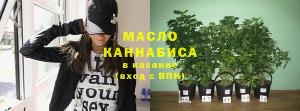 индика Краснотурьинск