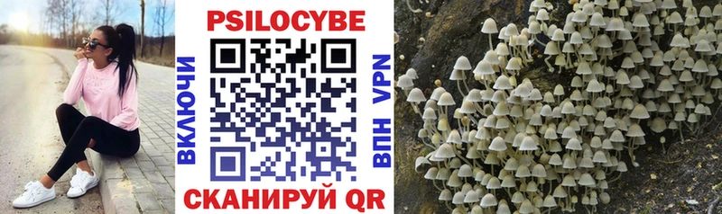 Купить  Гдов  Псилоцибиновые грибы ЛСД 